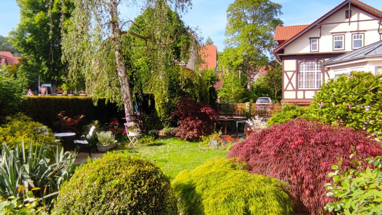 Fewo Am Wetzstein Вернігероде Екстер'єр фото